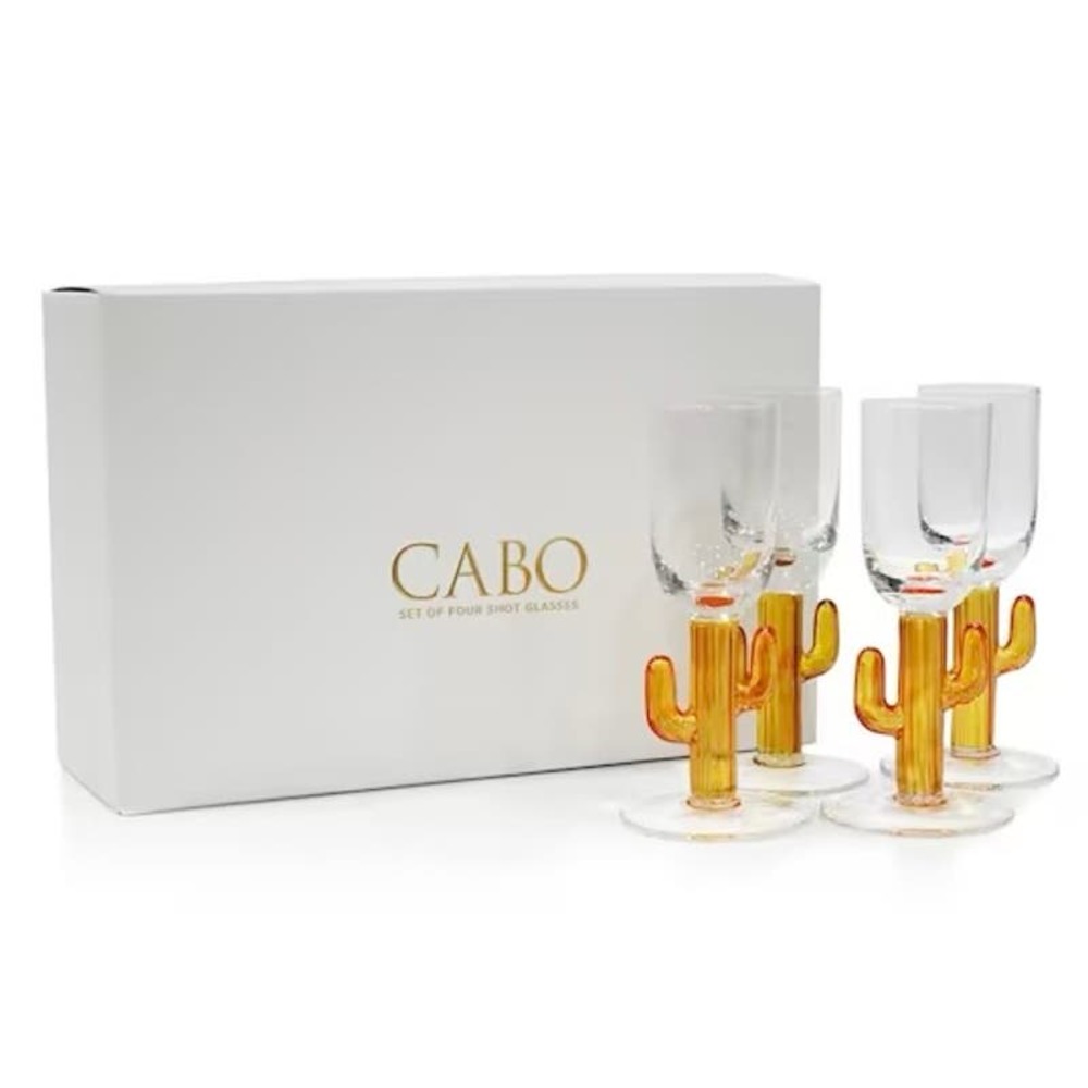 CABO Set of 4 Cactus Shot Glasses Orange Desert Cinco De Mayo Gift Party NIB